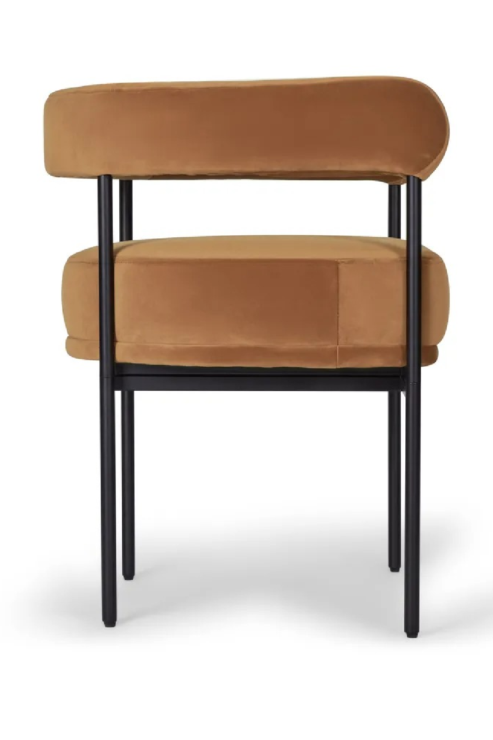 Curved Back  Dining Chair | NV Gallery Arcade | Oroa.com