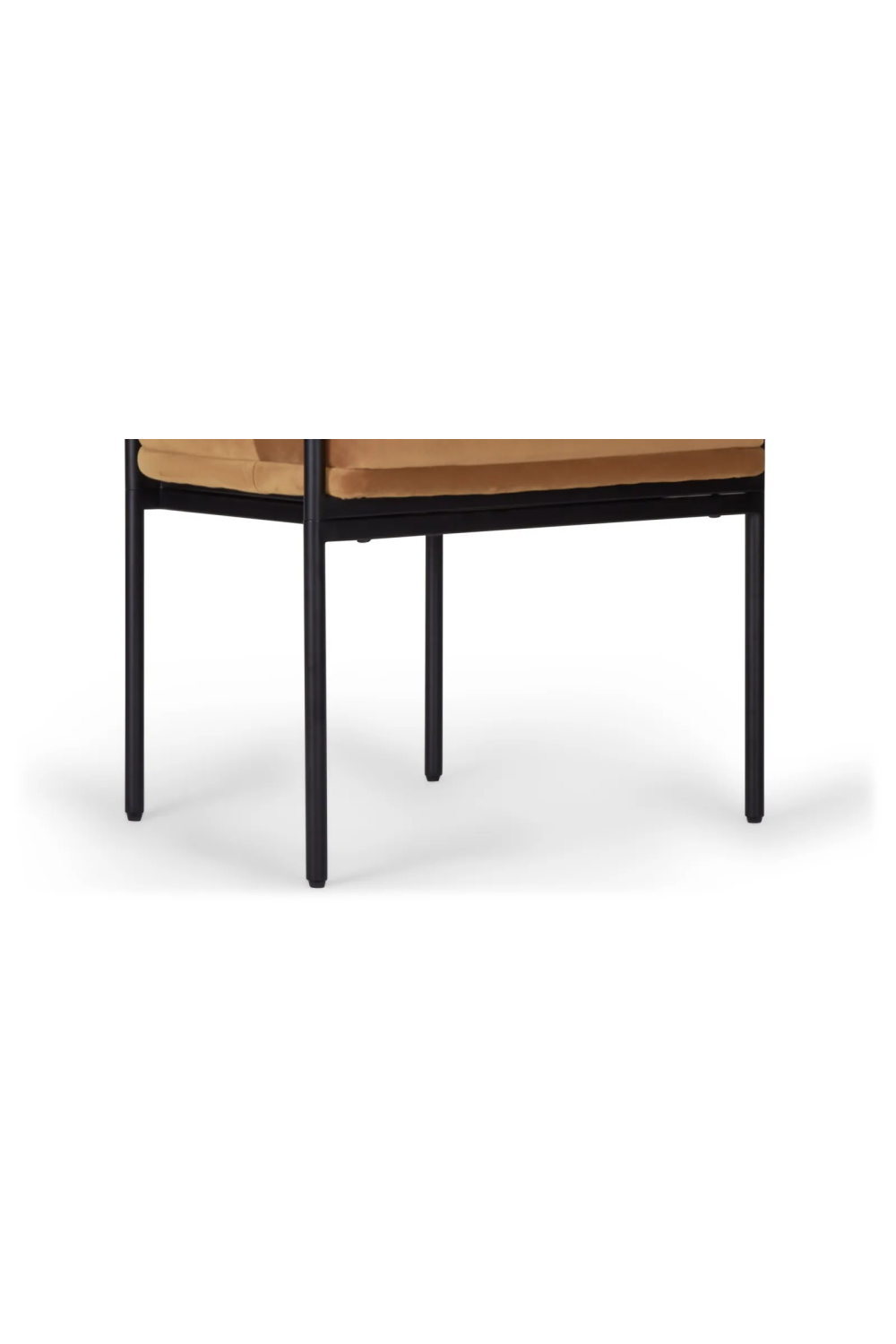 Curved Back  Dining Chair | NV Gallery Arcade | Oroa.com