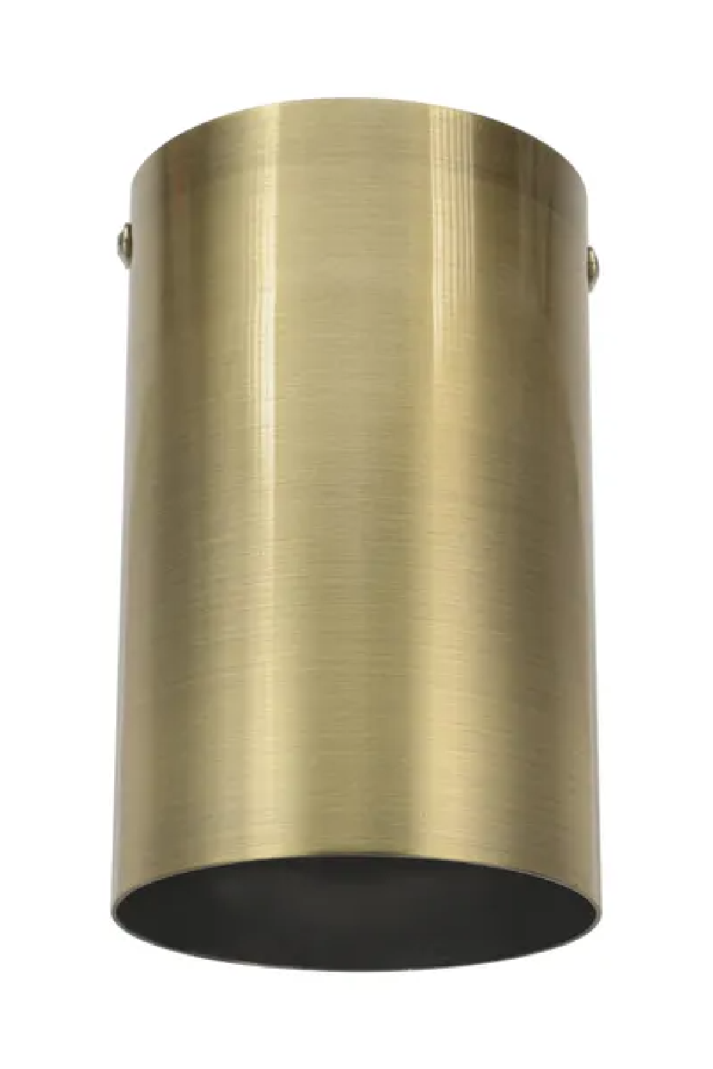 Industrial Style Ceiling Light | NV Gallery Bailey | Oroa.com