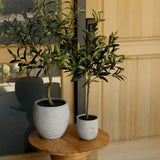 Artificial Olive Topiary Tree with Mediterranean Pot - OROA
