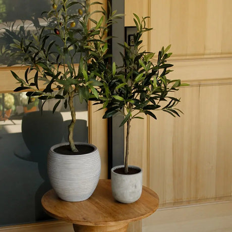 Artificial Olive Topiary Tree with Mediterranean Pot - OROA