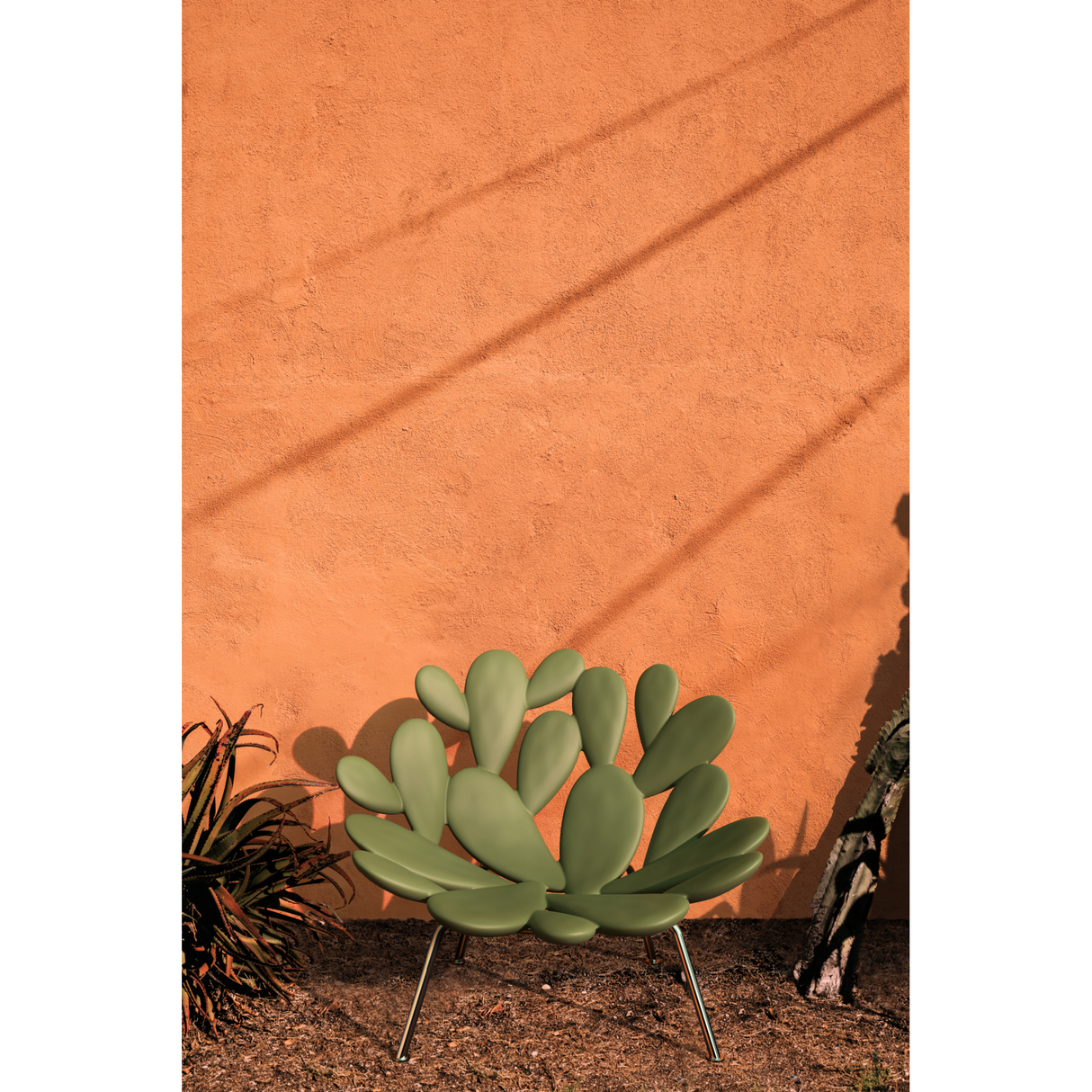 Cactus Design Armchair | Qeeboo Filicudi | OROA.com
