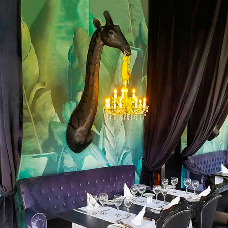   Animal Head Wall Lamp | Oroa.com