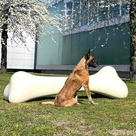   Bone Decorative Object | Oroa.com