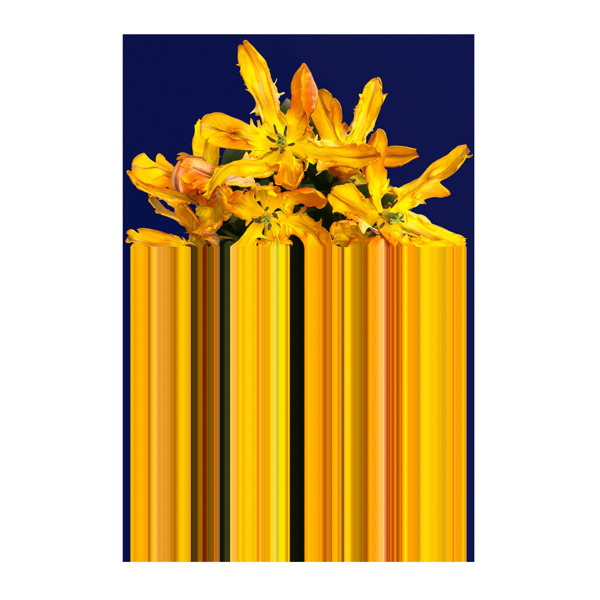 Modern Floral Print Rug 6'6" x 10' | Qeeboo Glitch | OROA.com