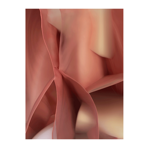 Chromatic Print Rug 10' x 13' | Qeeboo Nucleo | OROA.com