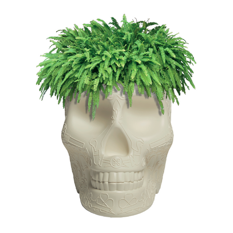 Skull-Shaped Planter Champagne Cooler | Qeeboo Mexico | OROA.com