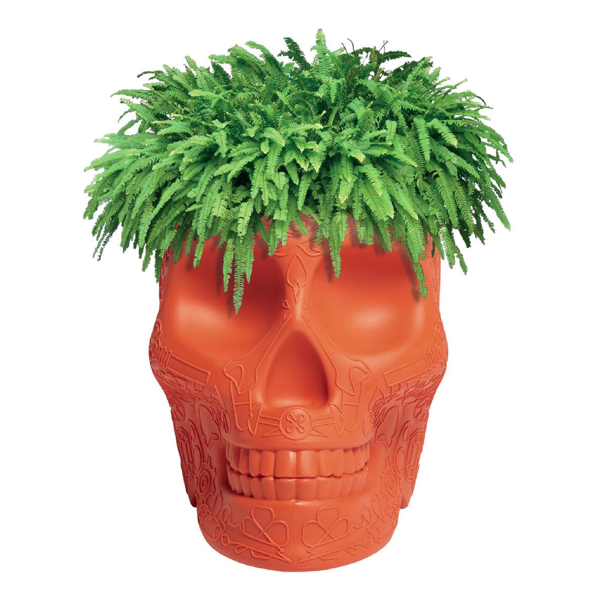 Skull-Shaped Planter Champagne Cooler | Qeeboo Mexico | OROA.com