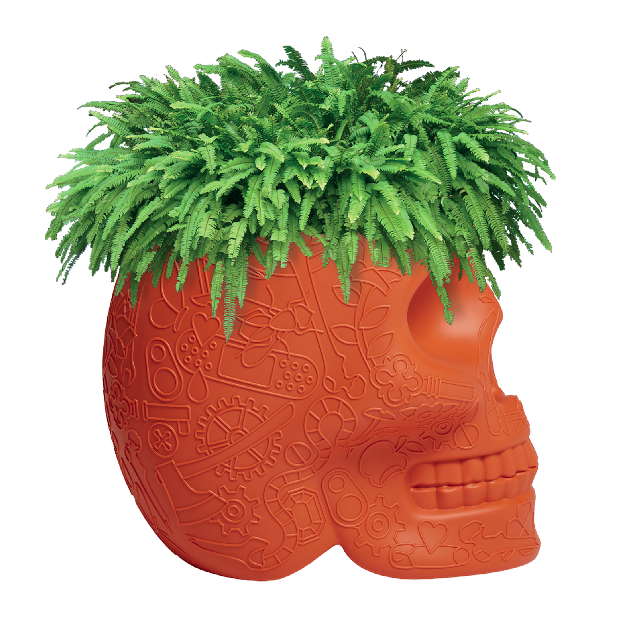 Skull-Shaped Planter Champagne Cooler | Qeeboo Mexico | OROA.com