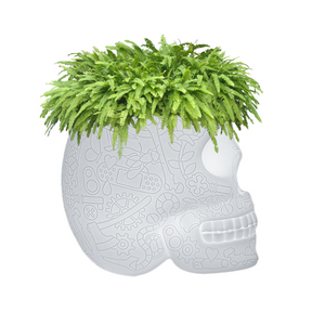 LED Planter & Champagne Cooler Lamp | Qeeboo Mexico | OROA.com