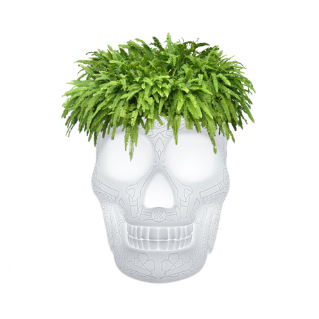 LED Planter & Champagne Cooler Lamp | Qeeboo Mexico | OROA.com