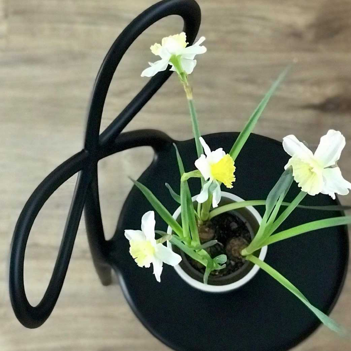 Bow Design Dining Chair | Qeeboo Ribbon | OROA.com