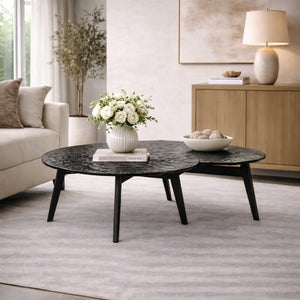   Black Glass Coffee Table Set (2) | Oroa.com