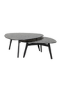 Black Glass Coffee Table Set (2) | Richmond Interiors Riley | Oroa.com
