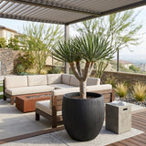 Black Concrete Indoor/Outdoor Planter | Splendido Coleus