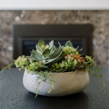 Lifelike Succulent Arrangement - OROA