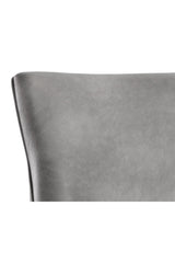 Modern European furniture - Bronze Cantilever Leather Dining Chairs (2) - www.oroa.com
