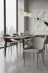 Modern European furniture - Taupe Leather Dining Chairs (2) - www.oroa.com