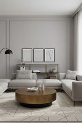 Modern European furniture - Iron Framed Bookcase - www.oroa.com
