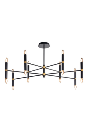 Black Tubes 16-Light Chandelier | Splendido Briggs | Oroa.com