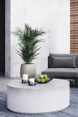 Modern European furniture - Minimalist Concrete Outdoor Coffee Table - www.oroa.com