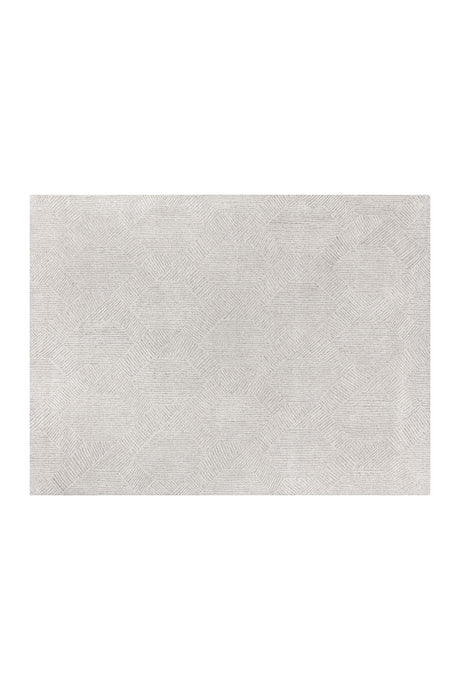 Modern European furniture - Gray Hand-tufted Area Rug - www.oroa.com