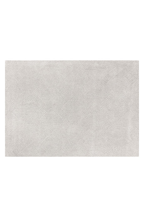 Modern European furniture - Gray Hand-tufted Area Rug - www.oroa.com