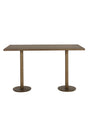Modern European furniture - Antique Brass Rectangular Bar Table - www.oroa.com