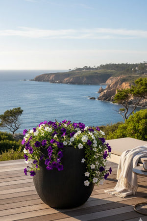 Modern European furniture - Black Concrete Indoor/Outdoor Planter - www.oroa.com