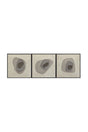 Modern European furniture - Taupe Abstract Art Set (3) - www.oroa.com