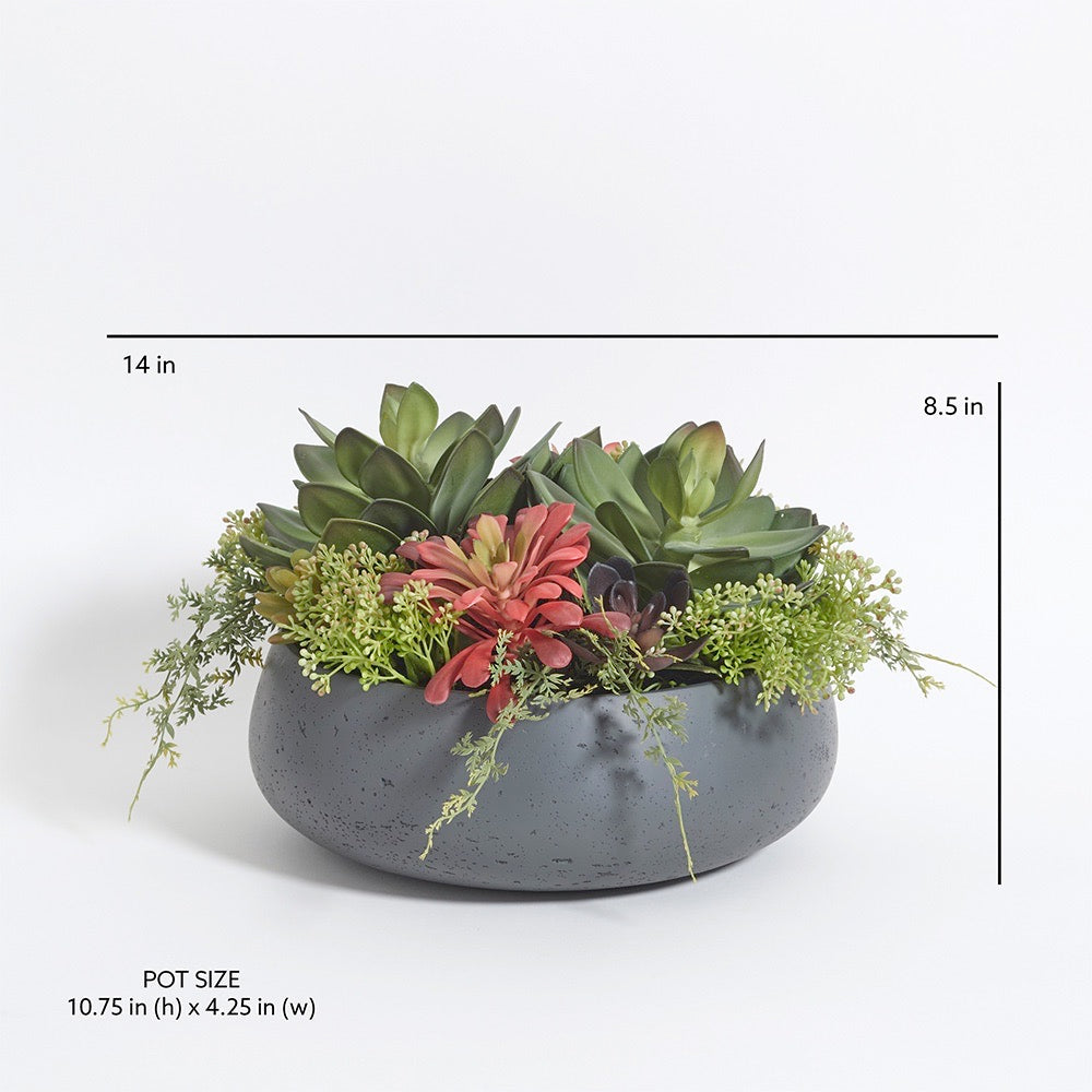 Lifelike Succulent Arrangement - OROA