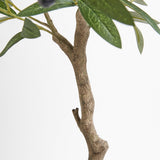 Artificial Olive Topiary Tree with Mediterranean Pot - OROA