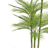 Everlasting Palm Tree - OROA