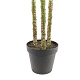 Everlasting Palm Tree - OROA
