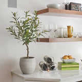 Artificial Olive Topiary Tree with Mediterranean Pot - OROA