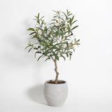 Artificial Olive Topiary Tree with Mediterranean Pot - OROA