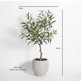 Artificial Olive Topiary Tree with Mediterranean Pot - OROA
