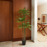 Everlasting Palm Tree - OROA