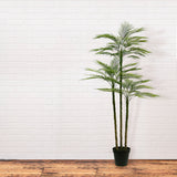 Everlasting Palm Tree - OROA