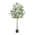 Modern European furniture - Lifelike Olive Tree - www.oroa.com