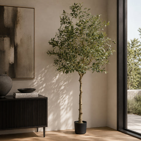 Modern European furniture - Lifelike Olive Tree - www.oroa.com