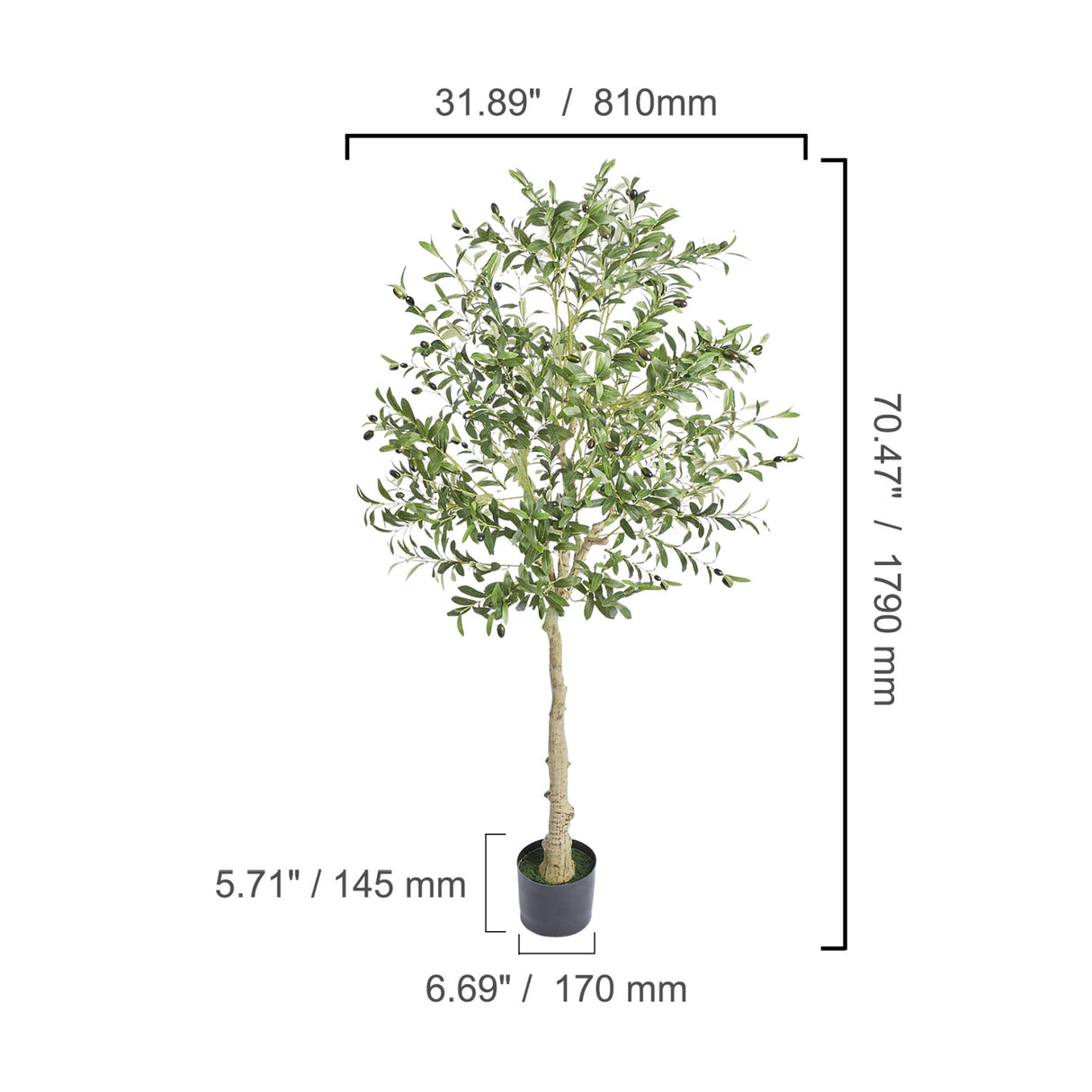 Modern European furniture - Lifelike Olive Tree - www.oroa.com