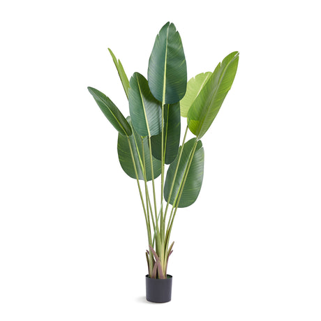 7" Artificial Birds Of Paradise Tree | OROA