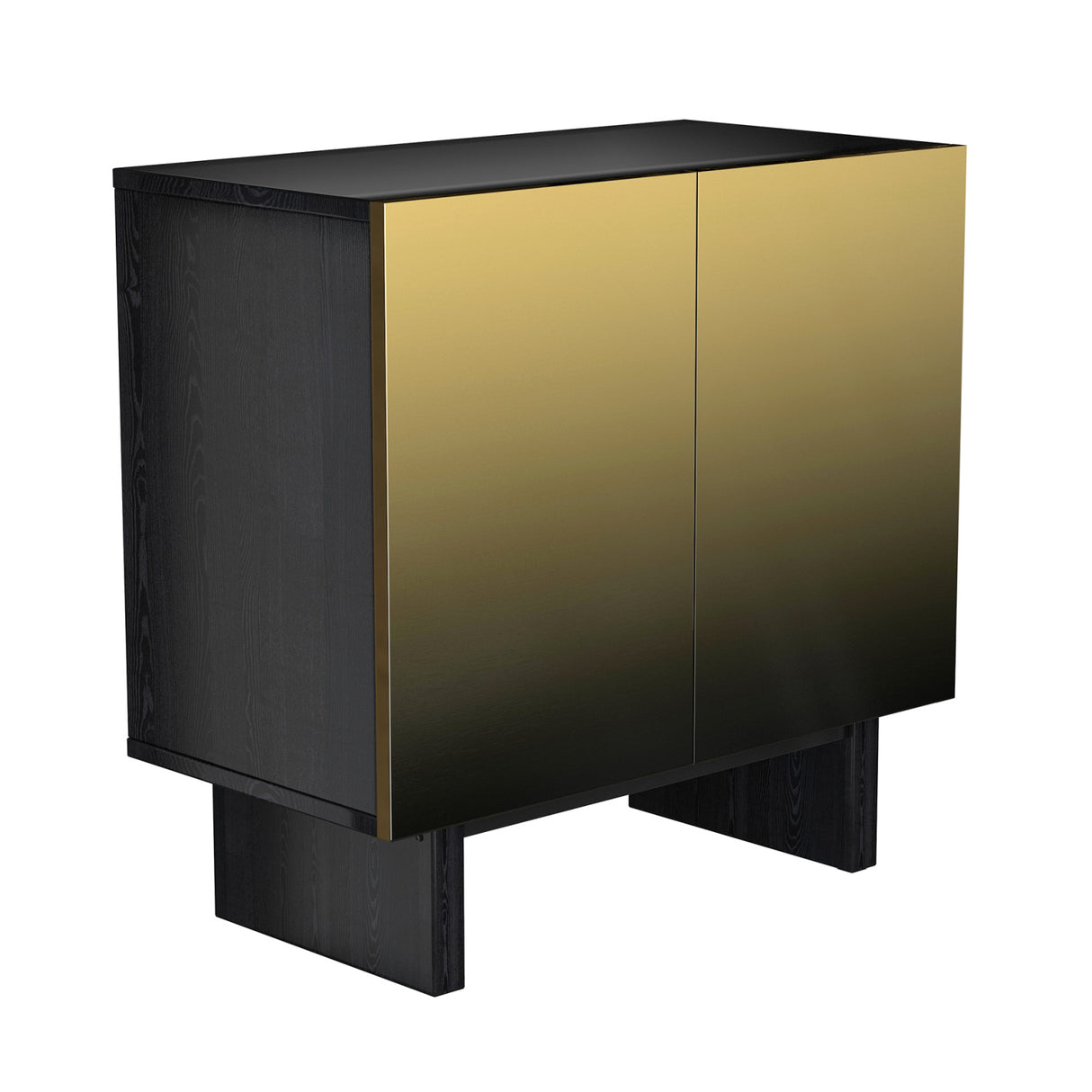 Modern Matte Black 2-Door Accent Cabinet | OROA