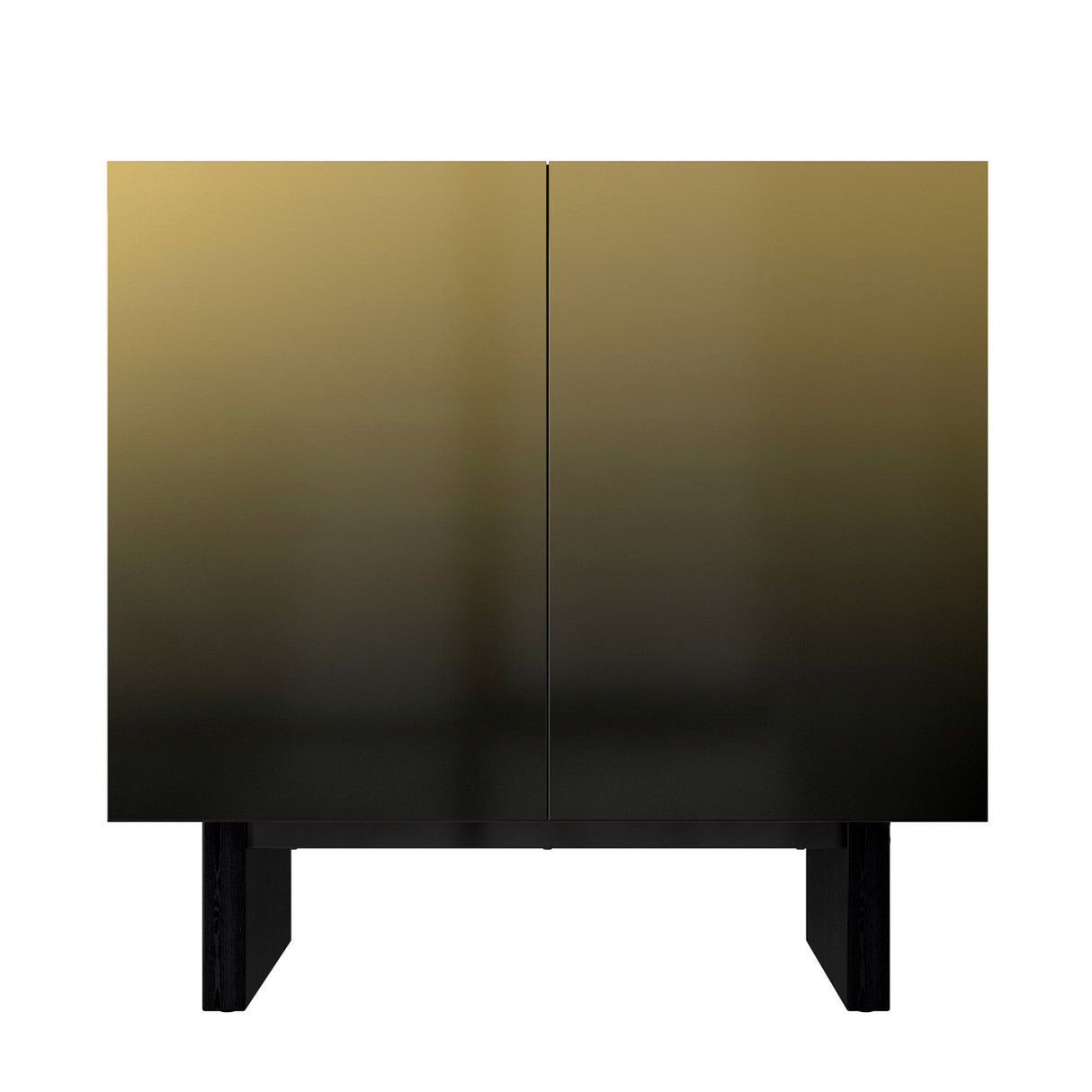 Modern Matte Black 2-Door Accent Cabinet | OROA