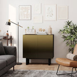 Modern Matte Black 2-Door Accent Cabinet | OROA