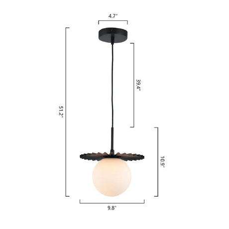 Modern European furniture - Modern Black Globe Pendant Light - www.oroa.com