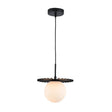 Modern European furniture - Modern Black Globe Pendant Light - www.oroa.com