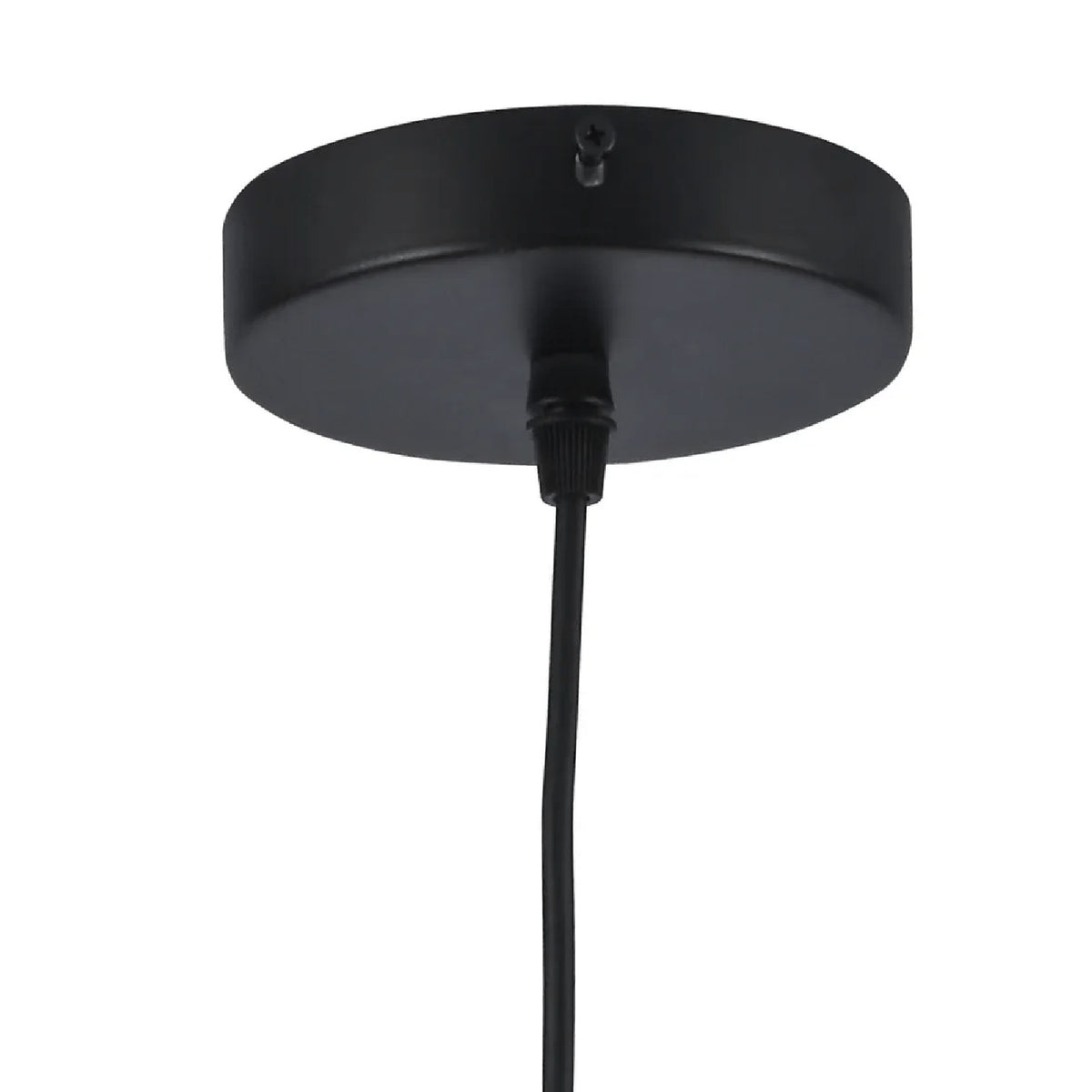 Modern European furniture - Modern Black Globe Pendant Light - www.oroa.com