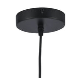 Modern European furniture - Modern Black Globe Pendant Light - www.oroa.com